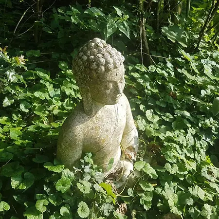 Gluecksnest Hetzerath