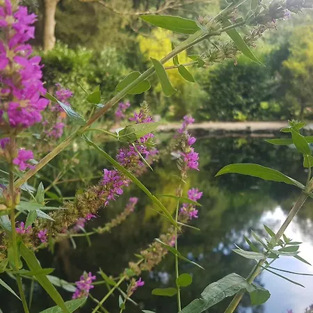 Gluecksnest Holiday home Hetzerath