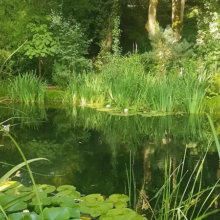 Holiday home Gluecksnest Hetzerath