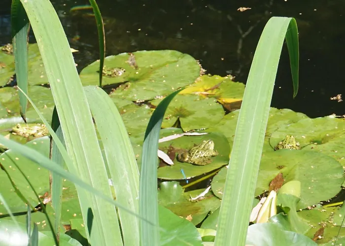 Gluecksnest * Hetzerath