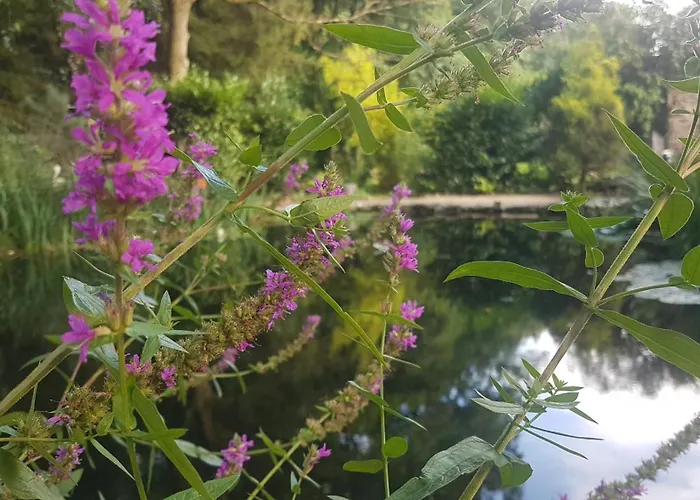 Gluecksnest Casa de Férias Hetzerath